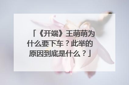 《开端》王萌萌为什么要下车？此举的原因到底是什么？