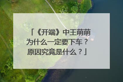 《开端》中王萌萌为什么一定要下车?原因究竟是什么?