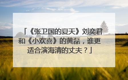《张卫国的夏天》刘奕君和《小欢喜》的黄磊，谁更适合演海清的丈夫？