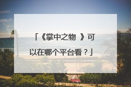 《掌中之物 》可以在哪个平台看?