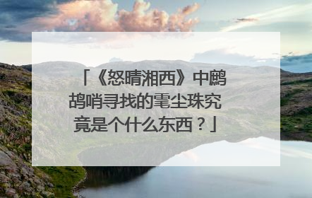 《怒晴湘西》中鹧鸪哨寻找的雮尘珠究竟是个什么东西？