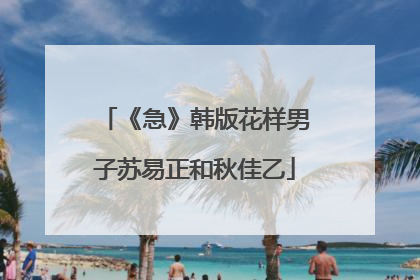 《急》韩版花样男子苏易正和秋佳乙