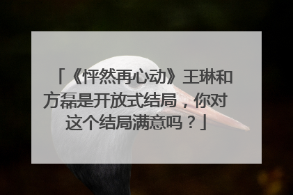 《怦然再心动》王琳和方磊是开放式结局，你对这个结局满意吗？