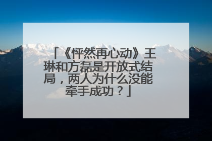 《怦然再心动》王琳和方磊是开放式结局，两人为什么没能牵手成功？