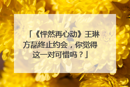 《怦然再心动》王琳方磊终止约会，你觉得这一对可惜吗？