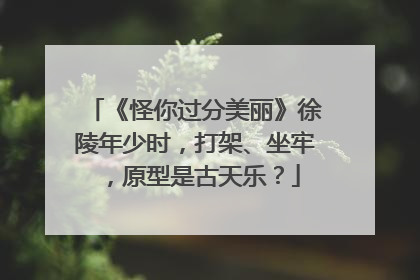 《怪你过分美丽》徐陵年少时,打架、坐牢,原型是古天乐?