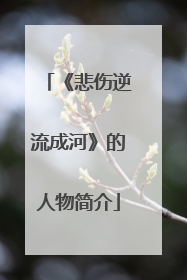 《悲伤逆流成河》的人物简介