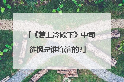 《惹上冷殿下》中司徒枫是谁饰演的?