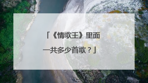 《情歌王》里面一共多少首歌？