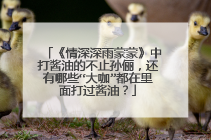 《情深深雨蒙蒙》中打酱油的不止孙俪,还有哪些“大咖”都在里面打过酱油?