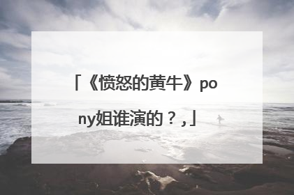 《愤怒的黄牛》pony姐谁演的？,