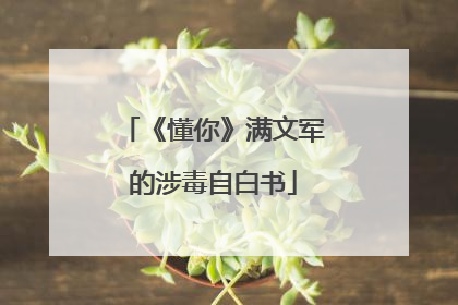 《懂你》满文军的涉毒自白书