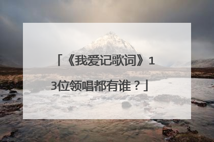 《我爱记歌词》13位领唱都有谁？