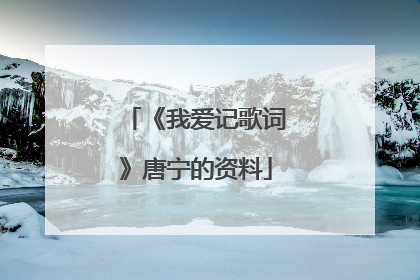 《我爱记歌词》唐宁的资料