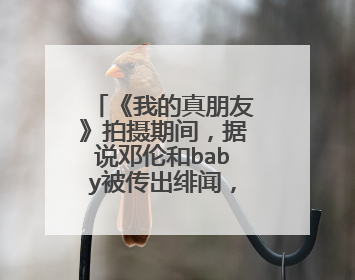 《我的真朋友》拍摄期间，据说邓伦和baby被传出绯闻，是真的吗？