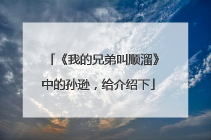 《我的兄弟叫顺溜》中的孙逊，给介绍下