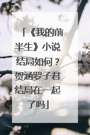 《我的前半生》小说结局如何？贺涵罗子君结局在一起了吗