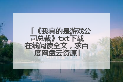 《我真的是游戏公司总裁》txt下载在线阅读全文，求百度网盘云资源