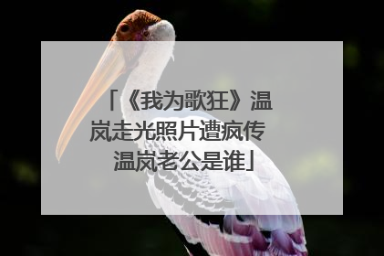 《我为歌狂》温岚走光照片遭疯传 温岚老公是谁