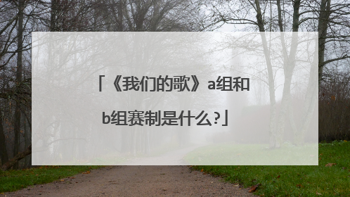 《我们的歌》a组和b组赛制是什么?