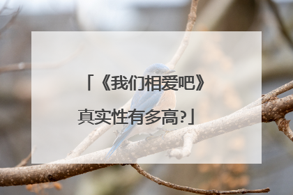 《我们相爱吧》真实性有多高?