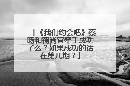 《我们约会吧》蔡旸和鞠尚宜牵手成功了么?如果成功的话在第几期?