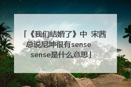 《我们结婚了》中 宋茜总说尼坤很有sense sense是什么意思