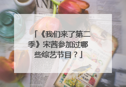 《我们来了第二季》宋茜参加过哪些综艺节目?