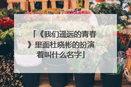 《我们遥远的青春》里面杜晓彬的扮演着叫什么名字