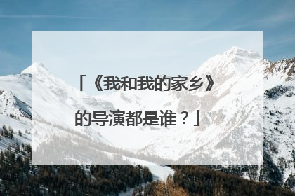 《我和我的家乡》的导演都是谁？