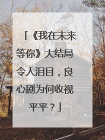 《我在未来等你》大结局令人泪目，良心剧为何收视平平？