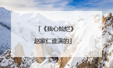 《我心灿烂》赵家仁谁演的