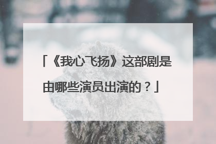 《我心飞扬》这部剧是由哪些演员出演的?