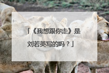 《我想跟你走》是刘若英写的吗?