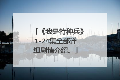 《我是特种兵》1-24集全部详细剧情介绍。