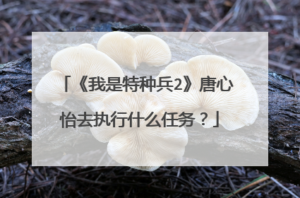 《我是特种兵2》唐心怡去执行什么任务？