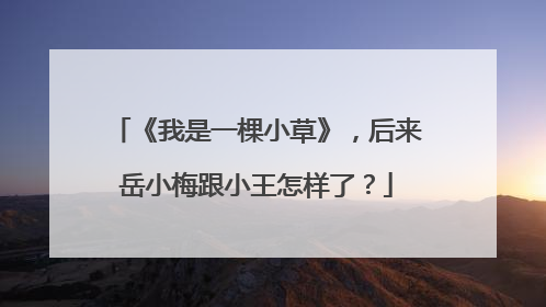 《我是一棵小草》,后来岳小梅跟小王怎样了?