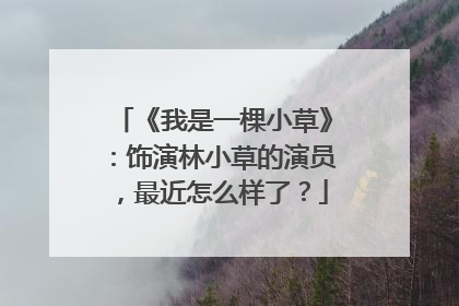 《我是一棵小草》:饰演林小草的演员,最近怎么样了?