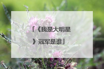 《我是大明星》冠军是谁