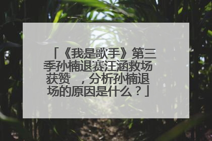 《我是歌手》第三季孙楠退赛汪涵救场获赞 ，分析孙楠退场的原因是什么？