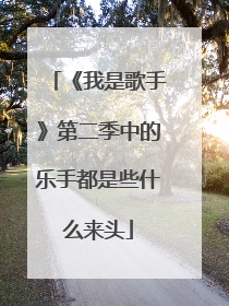 《我是歌手》第二季中的乐手都是些什么来头