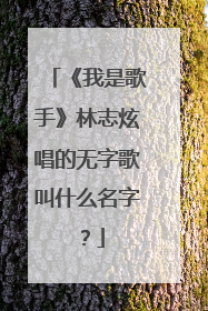 《我是歌手》林志炫唱的无字歌叫什么名字？