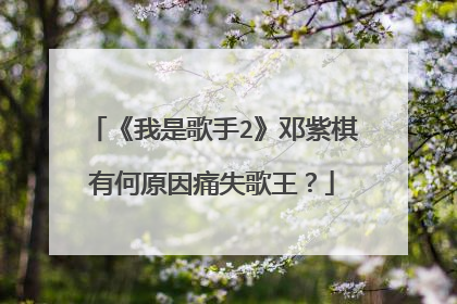 《我是歌手2》邓紫棋有何原因痛失歌王?