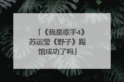 《我是歌手4》苏运莹《野子》踢馆成功了吗