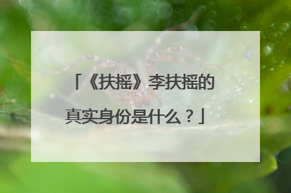 《扶摇》李扶摇的真实身份是什么?