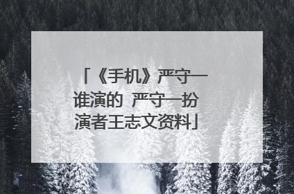 《手机》严守一谁演的 严守一扮演者王志文资料