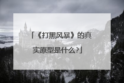 《打黑风暴》的真实原型是什么?