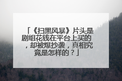 《扫黑风暴》片头是剧组花钱在平台上买的，却被爆抄袭，真相究竟是怎样的？