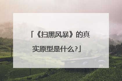 《扫黑风暴》的真实原型是什么?