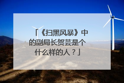 《扫黑风暴》中的副局长贺芸是个什么样的人?
